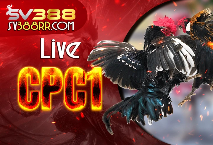 Live đá gà trực tiếp CPC1