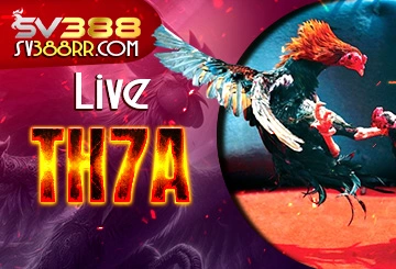 Live đá gà trực tiếp TH7A